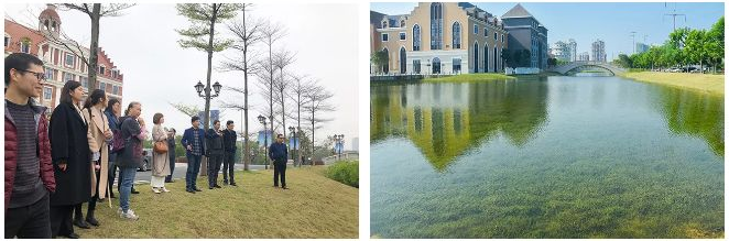 5c8f52c20fb38.png 3.png