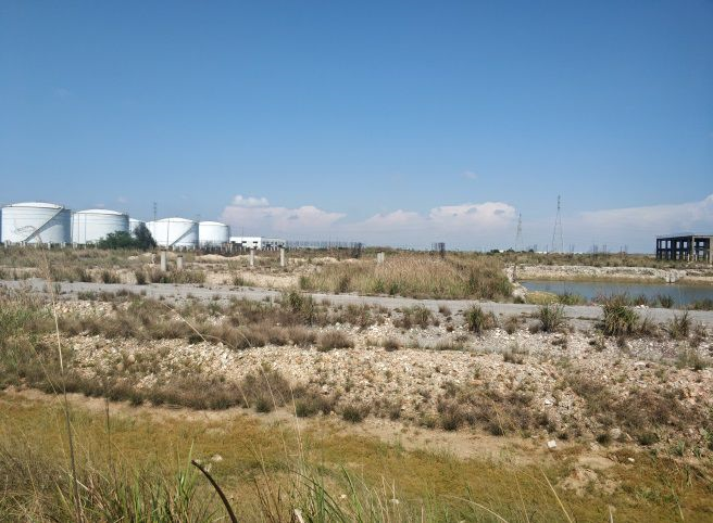 5d84116291537.png 5.png