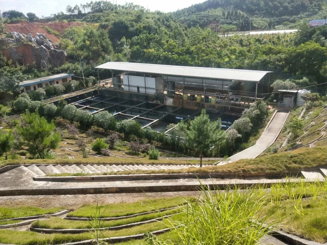 5ddeb18820ae4.png 2.png