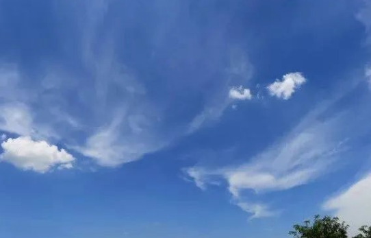 62cf890311888.png 4.png