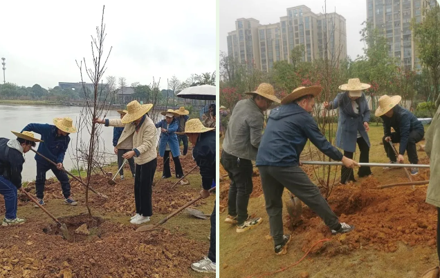 66b2ec35d21c7.png 博環植樹03.png